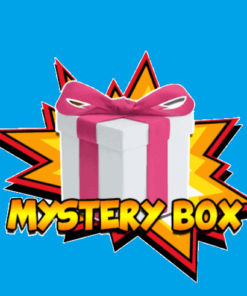 Mystery Box Boys Blue Box