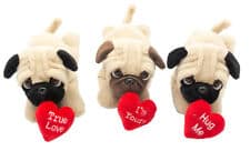 Valentines Pug Teddy