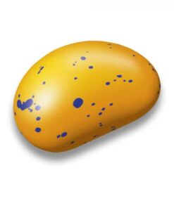 Jelly Bean Factory Passion Fruit Jelly Beans 100g